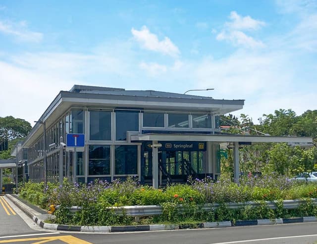 Springleaf MRT