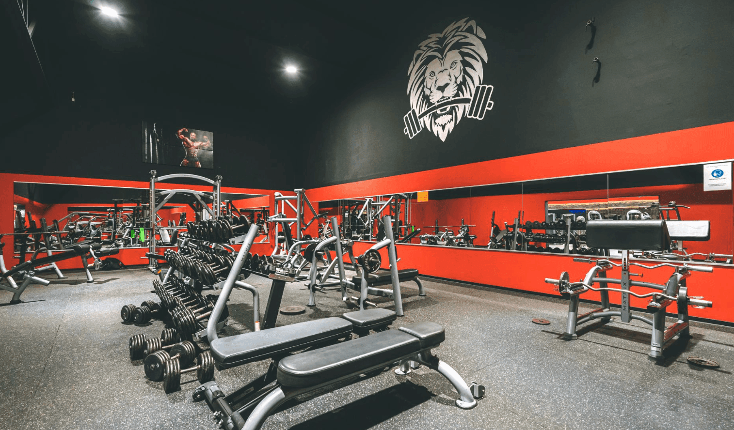 Löwenfitness Langenhangen